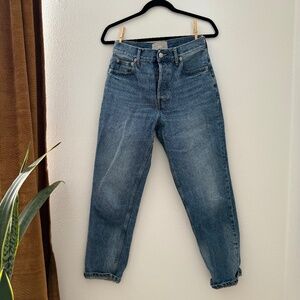 Everlane 90s Cheeky Organic Cotton Jean Size 27 Regular